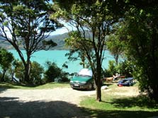 Picnic Bay Campsite, campsite in Marlborough