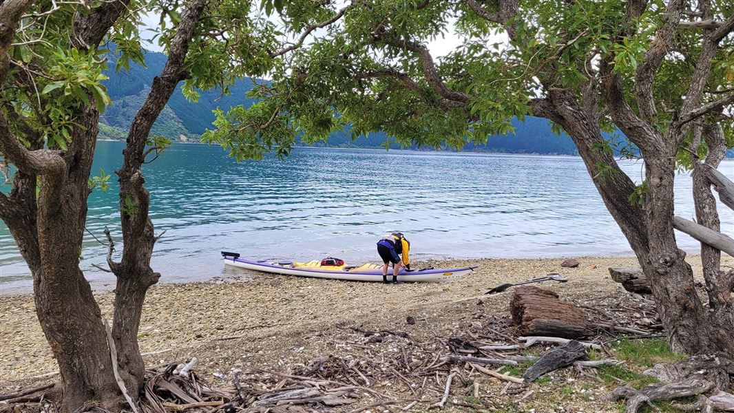 Pipi Beach Campsite, campsite in Marlborough