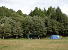 Piropiro Campsite, campsite in Manawatū-Whanganui