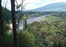 Pokaka Mill Campsite, campsite in Manawatū-Whanganui