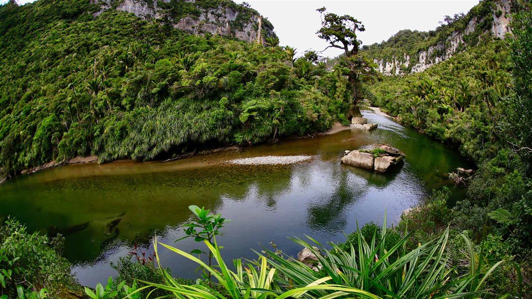 Pororari River Track, walk in West Coast