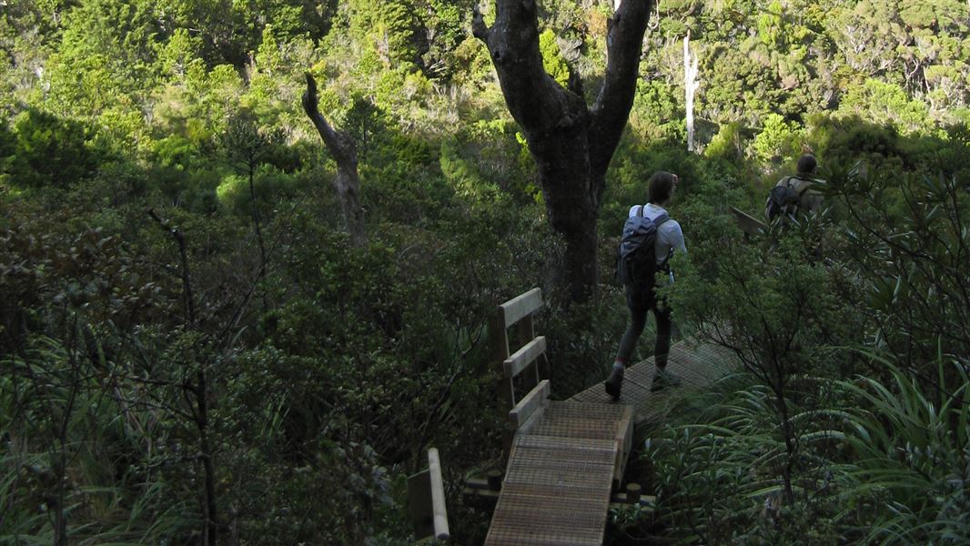 Port FitzRoy: Kaiaraara Hut side tracks