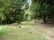 Poukaria Campsite, campsite in Manawatū-Whanganui