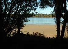 Pounawea nature walks