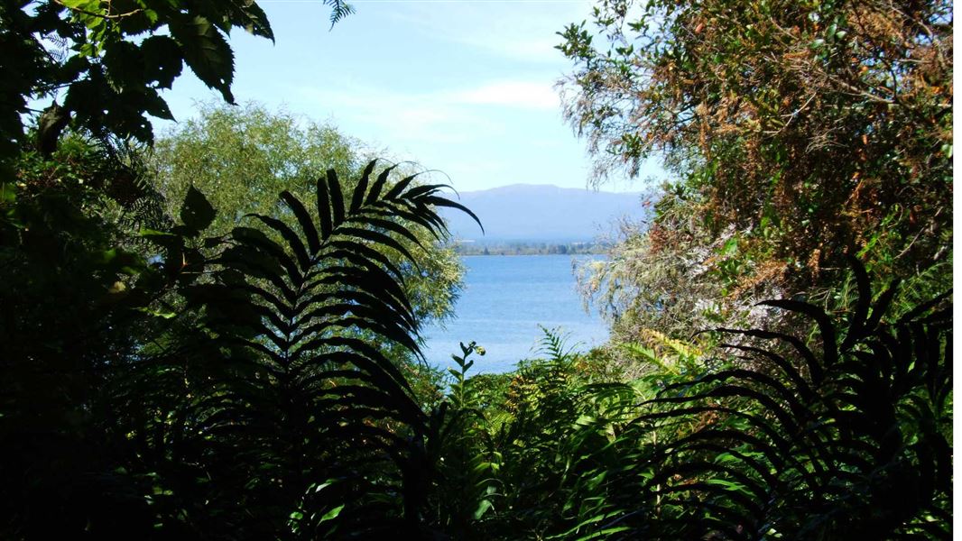 Pukawa Bay walks