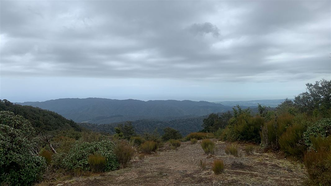 Pukeatua Track