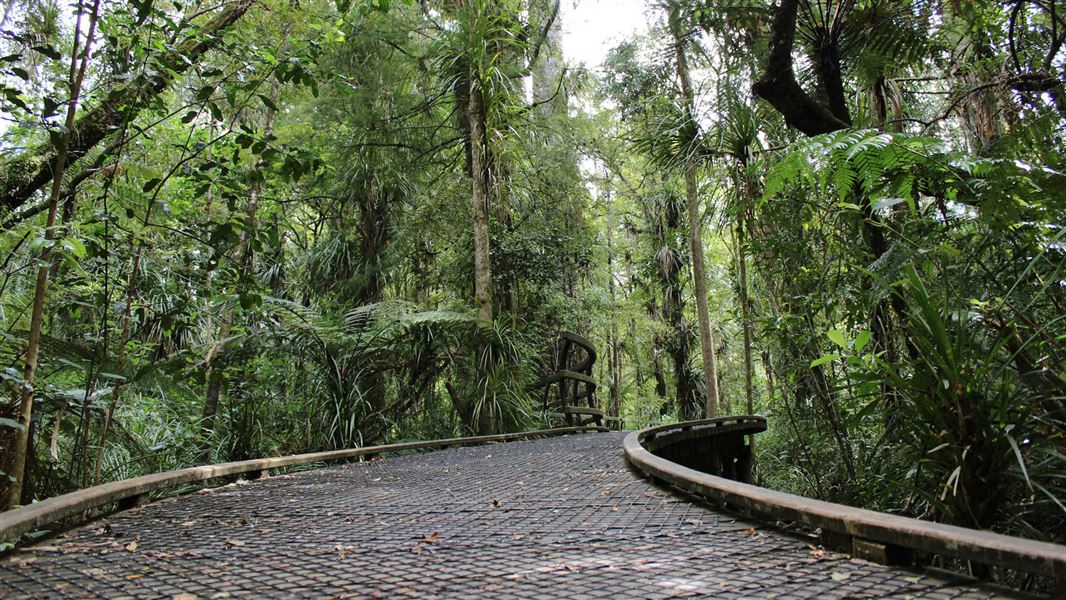 Puketī Nature Trail