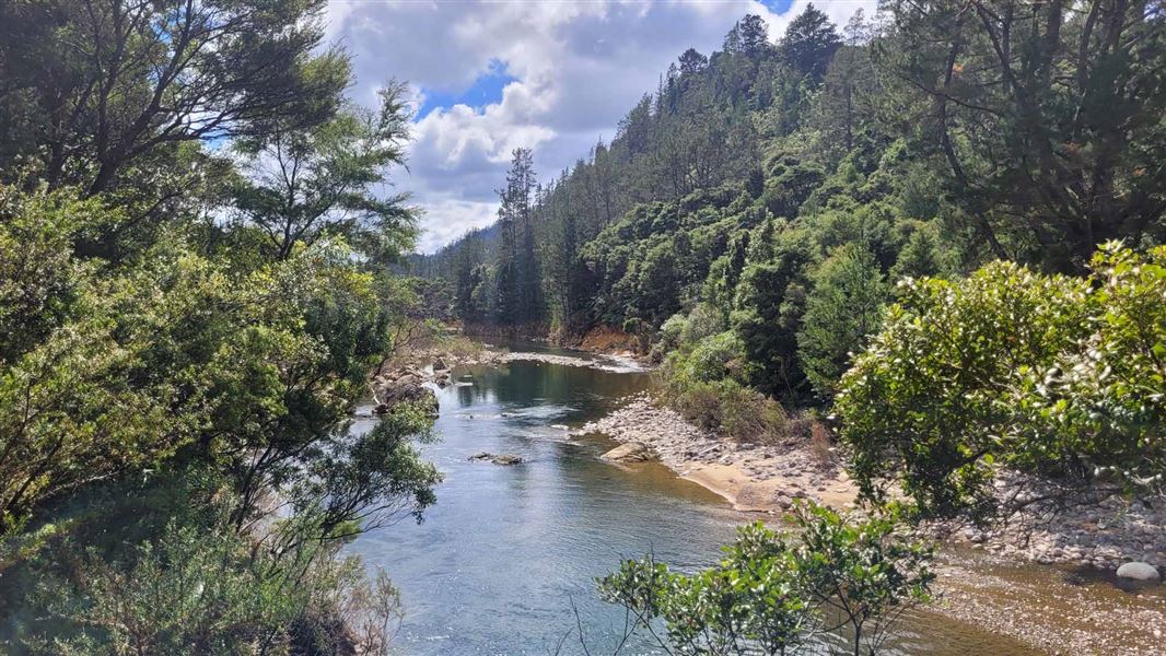 Puketui Walk, walk in Waikato