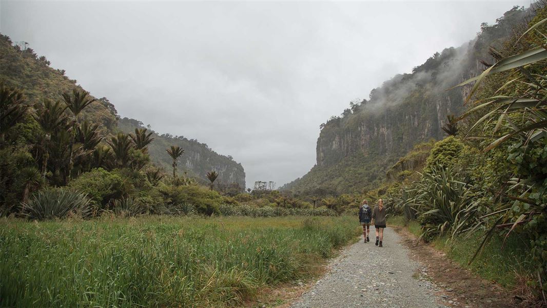 Punakaiki – Pororari Loop
