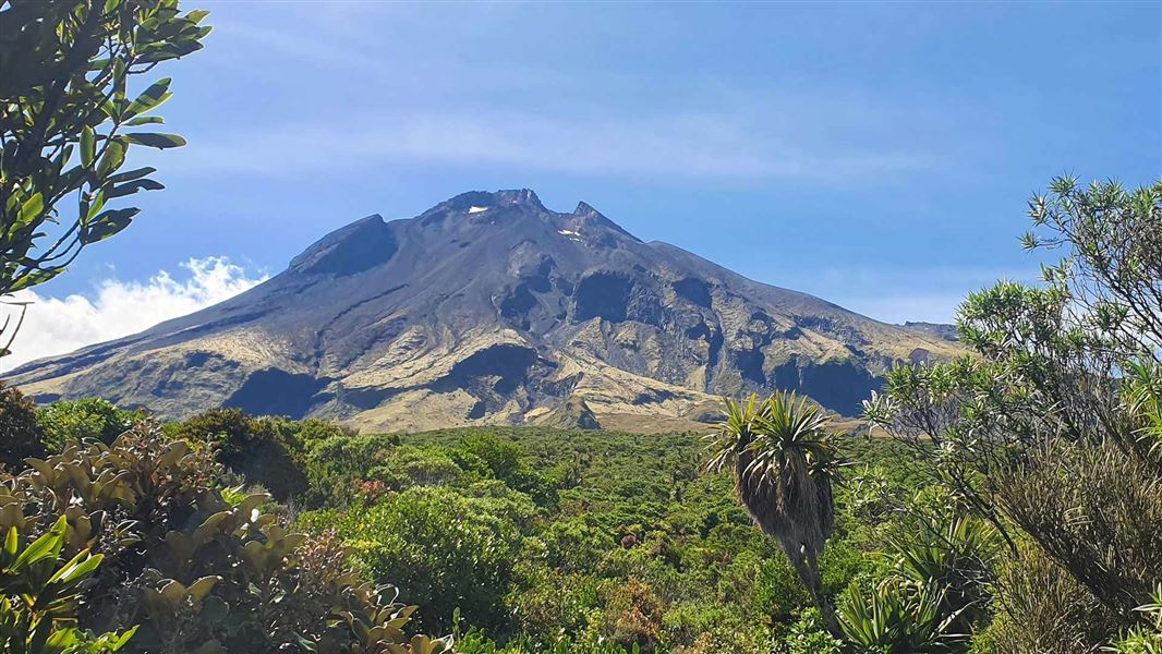Puniho Track to Kahui Hut