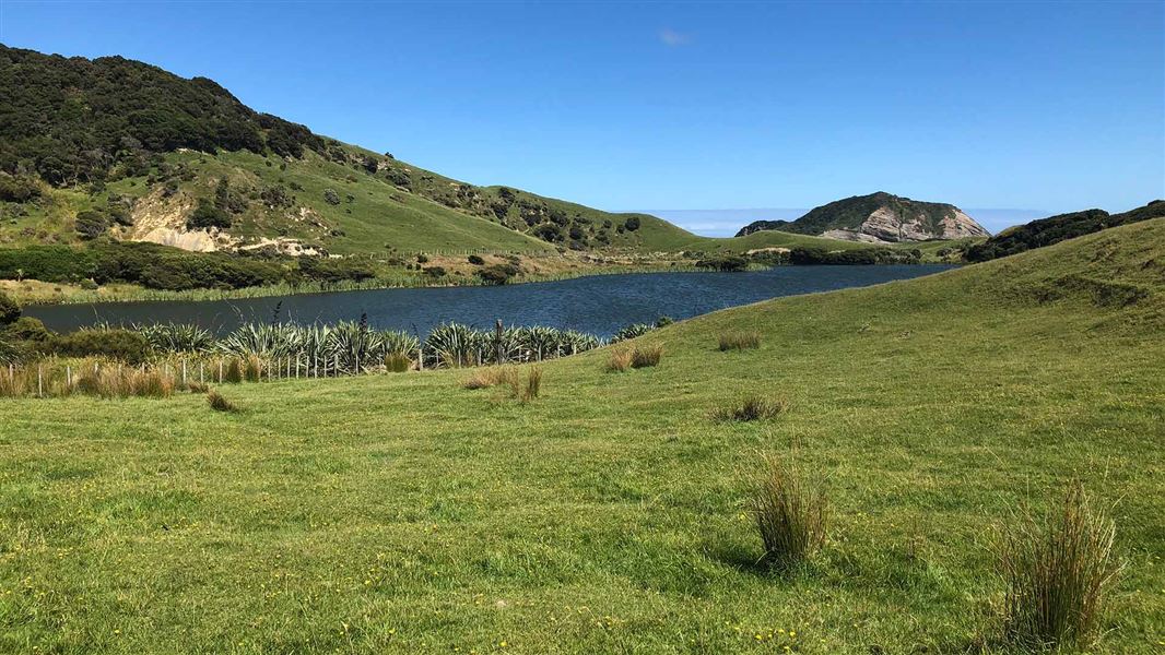 Pūponga Farm Track / Green Hills Route