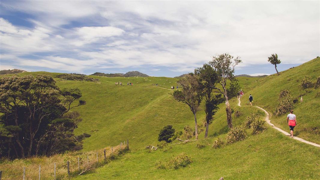 Pūponga Hilltop Walk