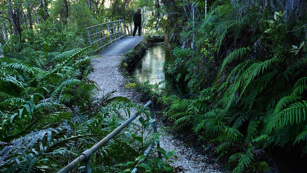 Pupu Hydro Walkway
