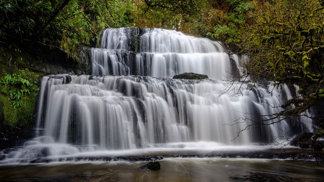 Purakaunui Falls Walk
