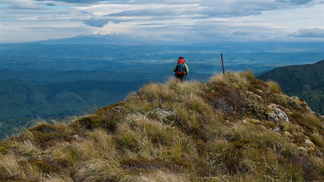 Waterfall Tracker Waterfall Hut, Manawatū-Whanganui | ParkUp