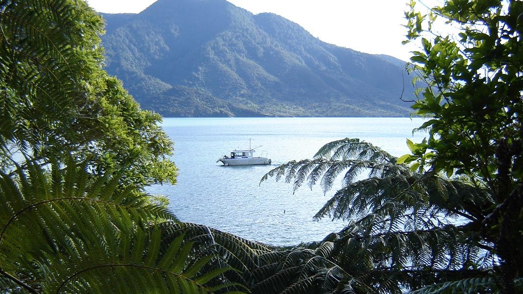 Putanui Point Track
