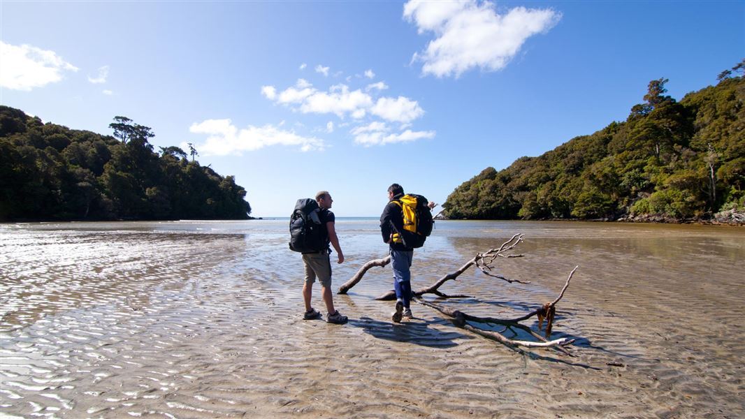 Rakiura Track