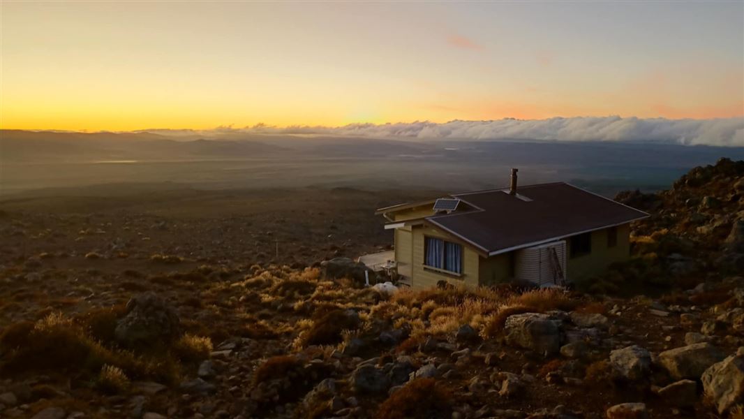 Rangipo Hut, hut in Manawatū-Whanganui
