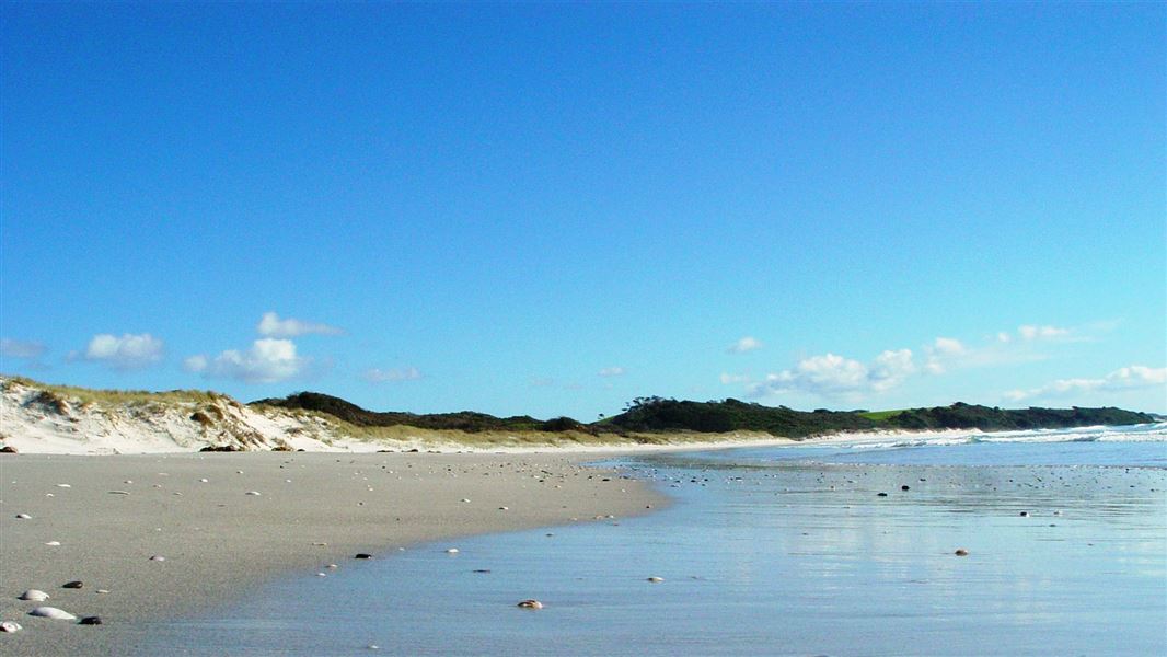 Rarawa Beach Campsite, campsite in Northland