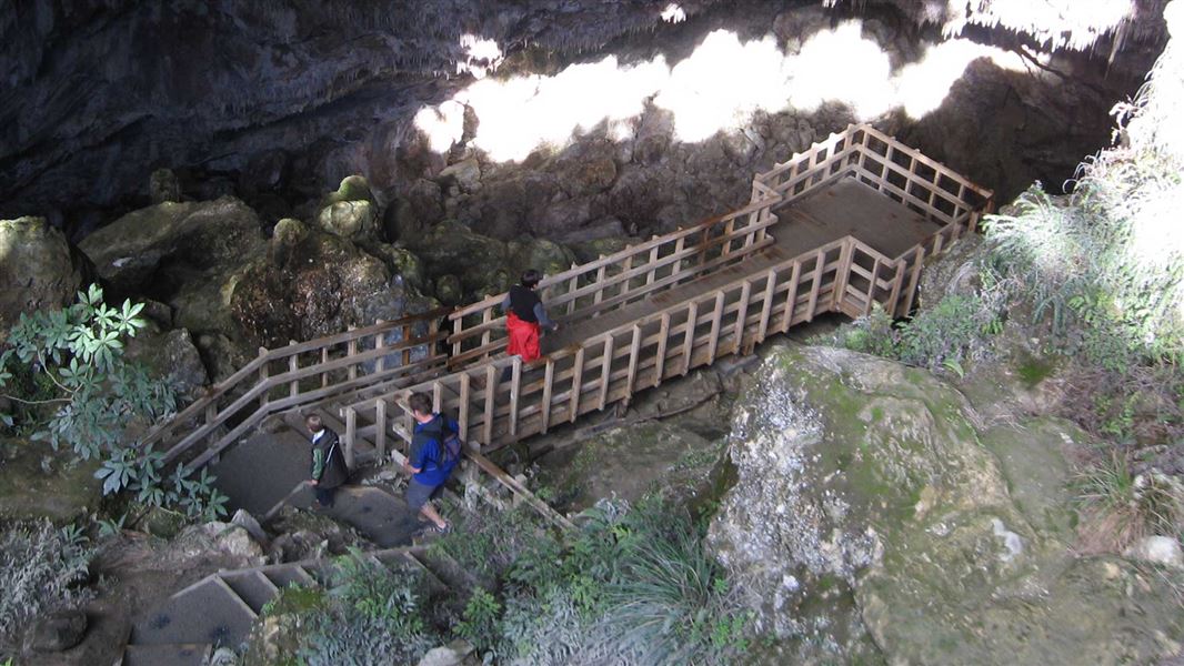 Rawhiti Cave Track