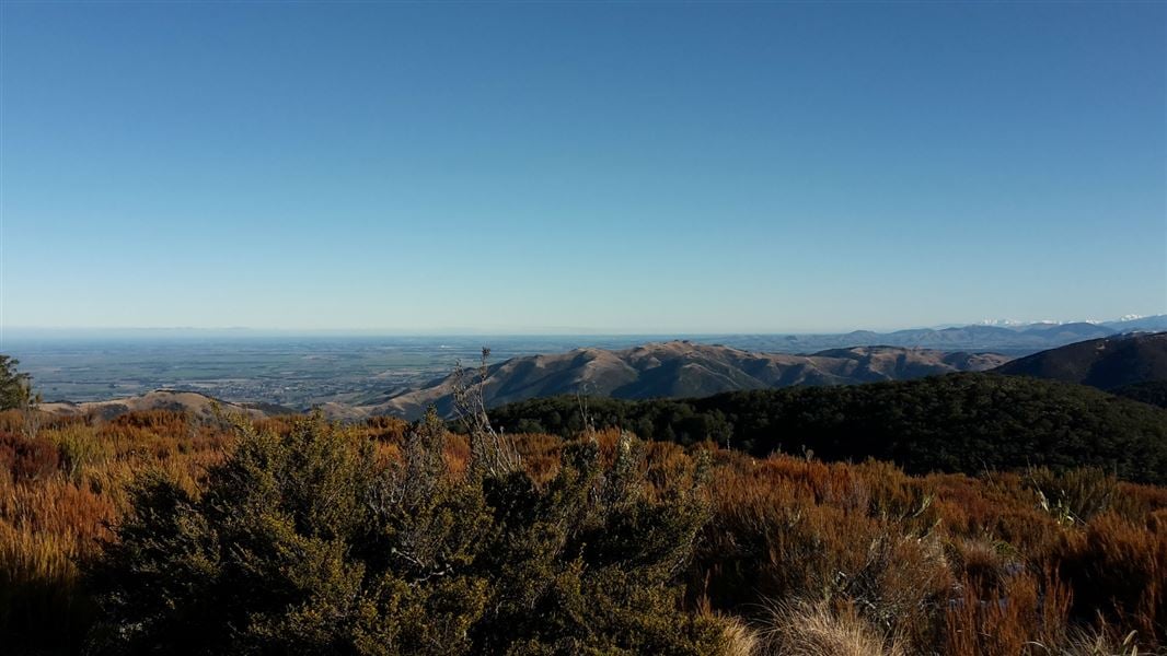 Richardson Track