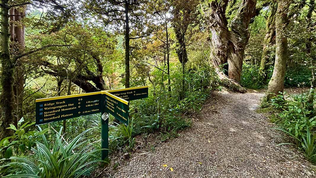 Ridge Loop Track