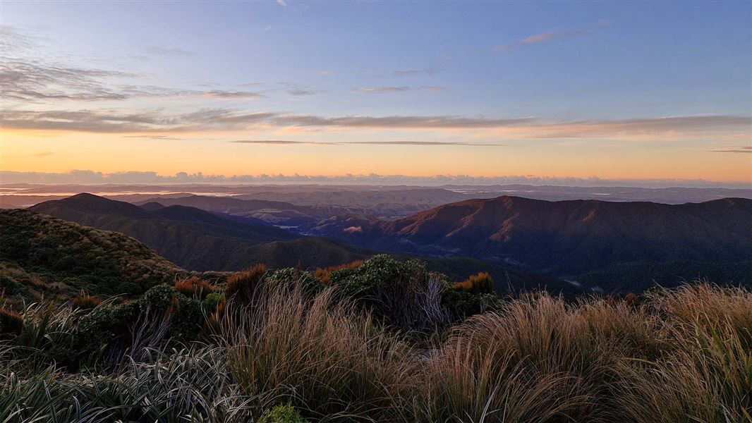 Roaring Stag Hut to Cattle Ridge Track