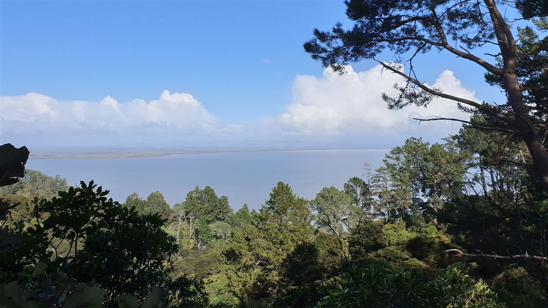 Rocky's to Waiotahi Track