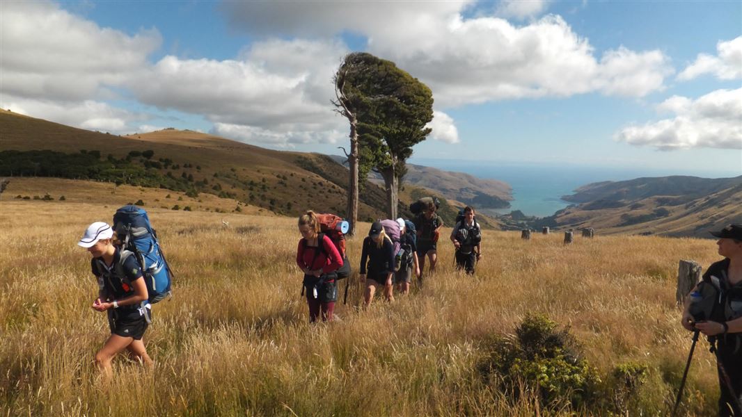 Rod Donald Hut to The Hilltop, walk in Canterbury