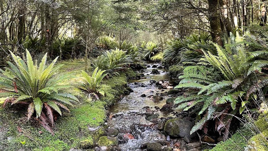 Rodger Inlet Track