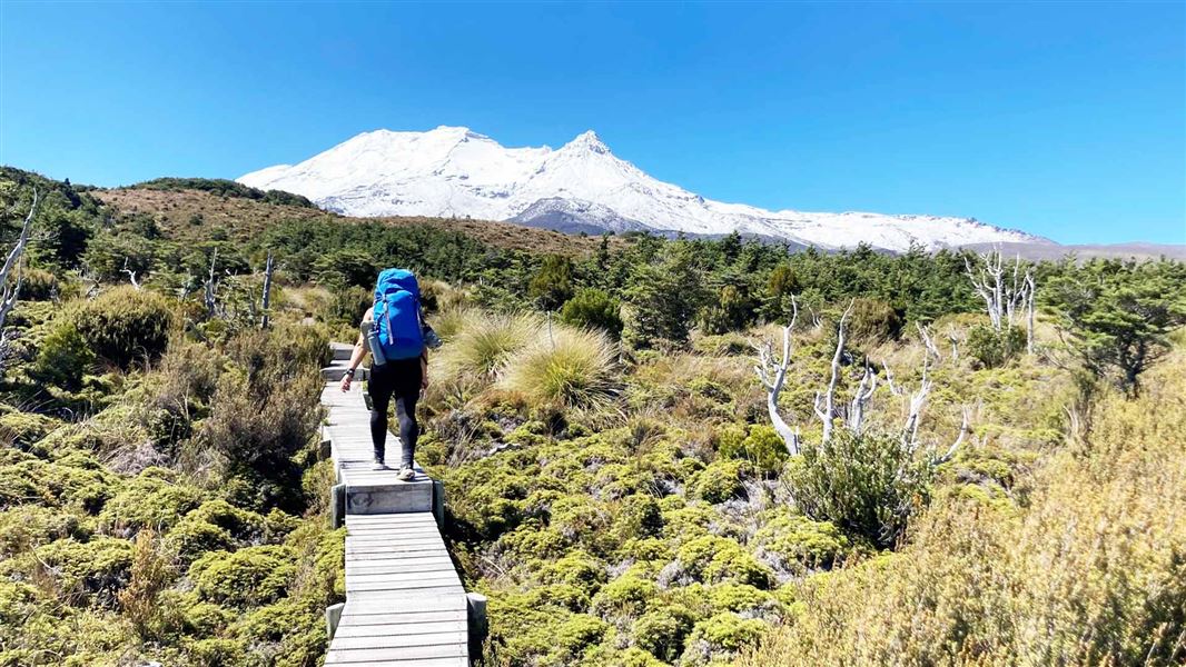Round the Mountain Track