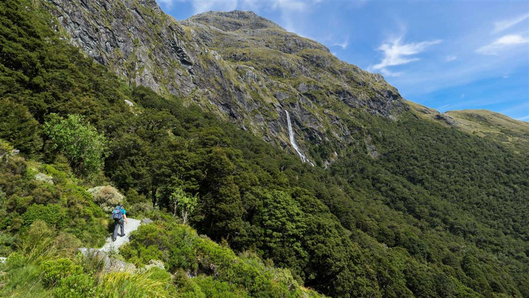 Routeburn Track: Earland Falls Track