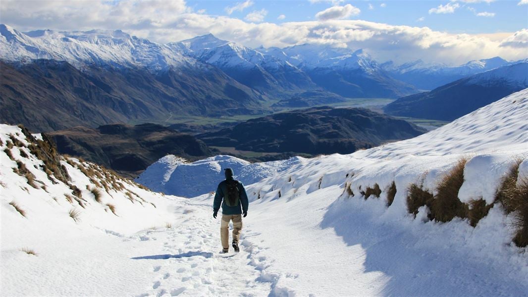 Roys Peak Track