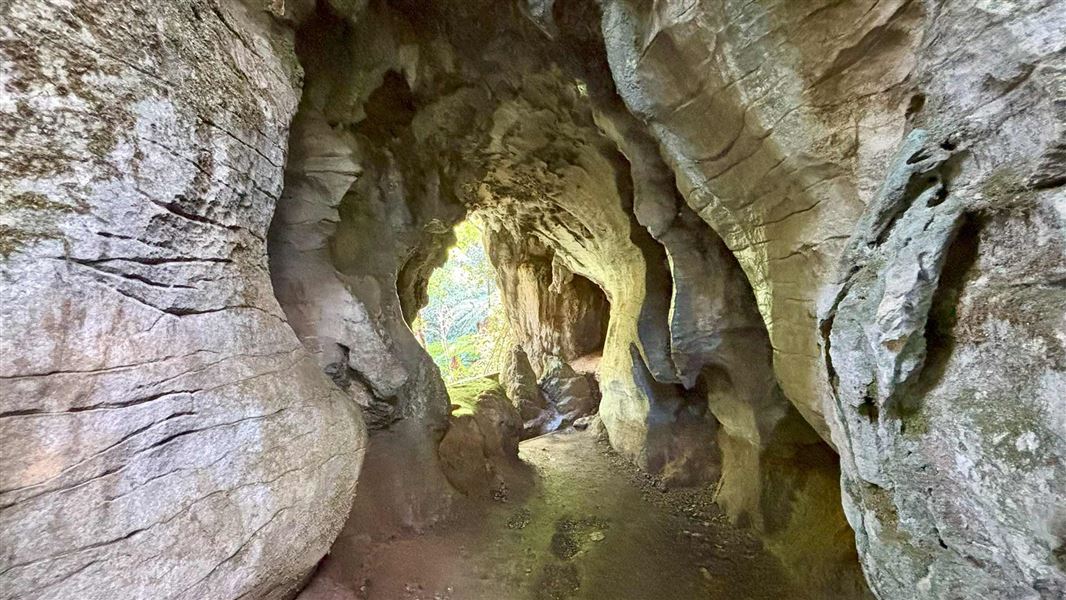 Ruakuri Walk, walk in Waikato