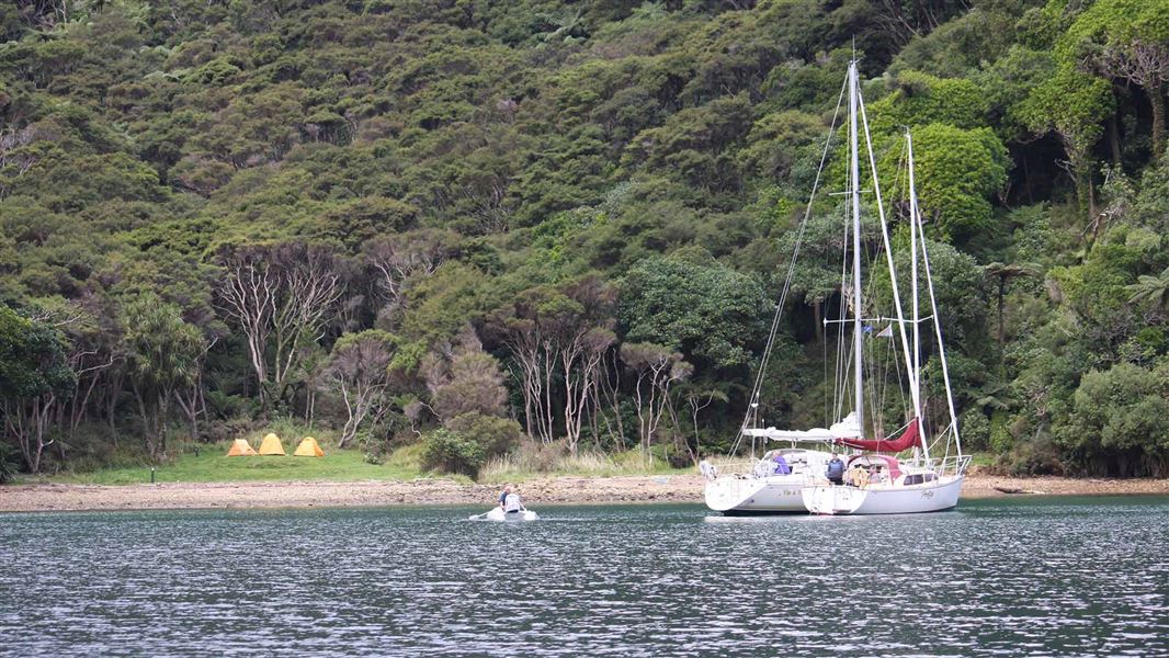 Schoolhouse Bay Campsite, campsite in Marlborough