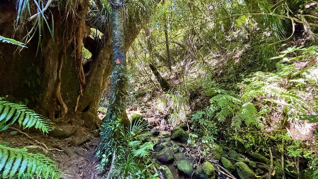Sefton Ridge Track