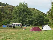 Shag Stream Campsite, campsite in Waikato