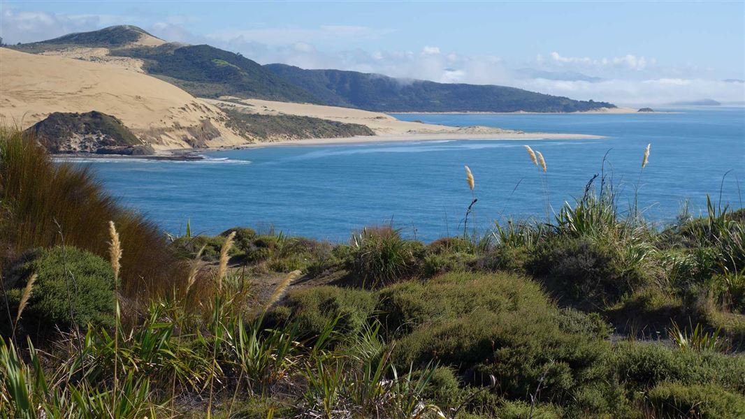 Signal Station Track, walk in Northland
