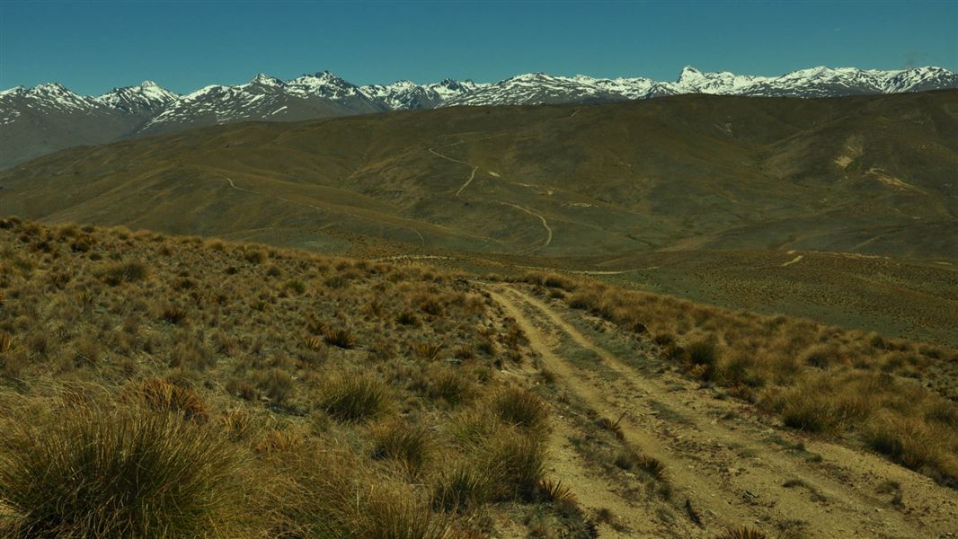 Slapjack Saddle Track