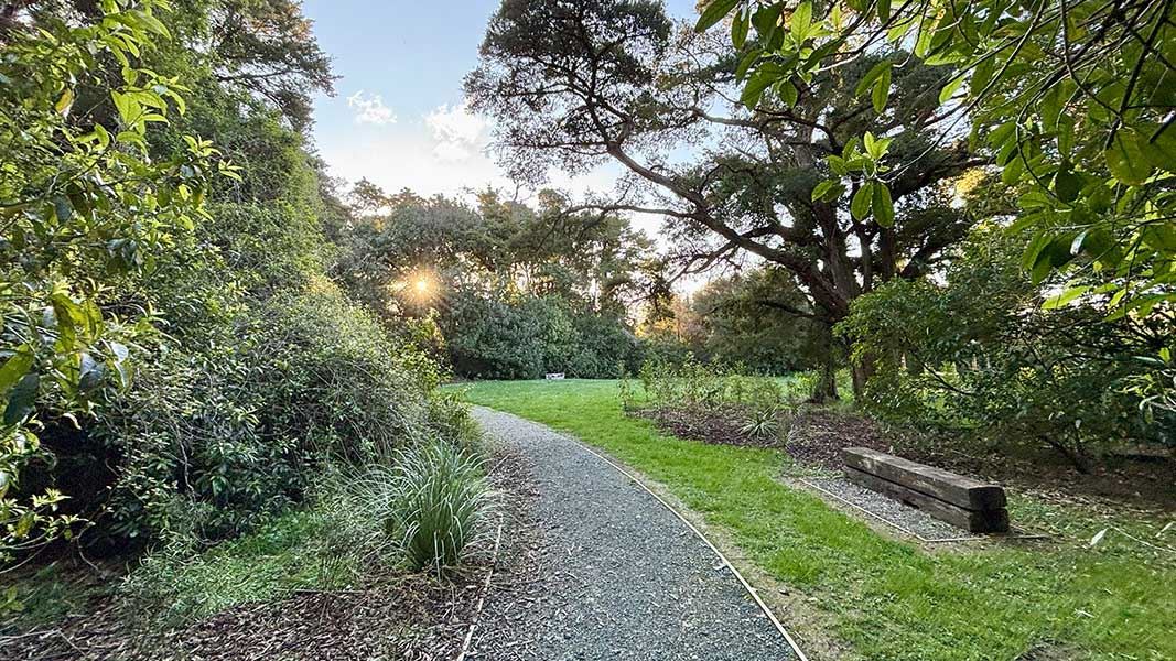 Snowdens Bush Walk