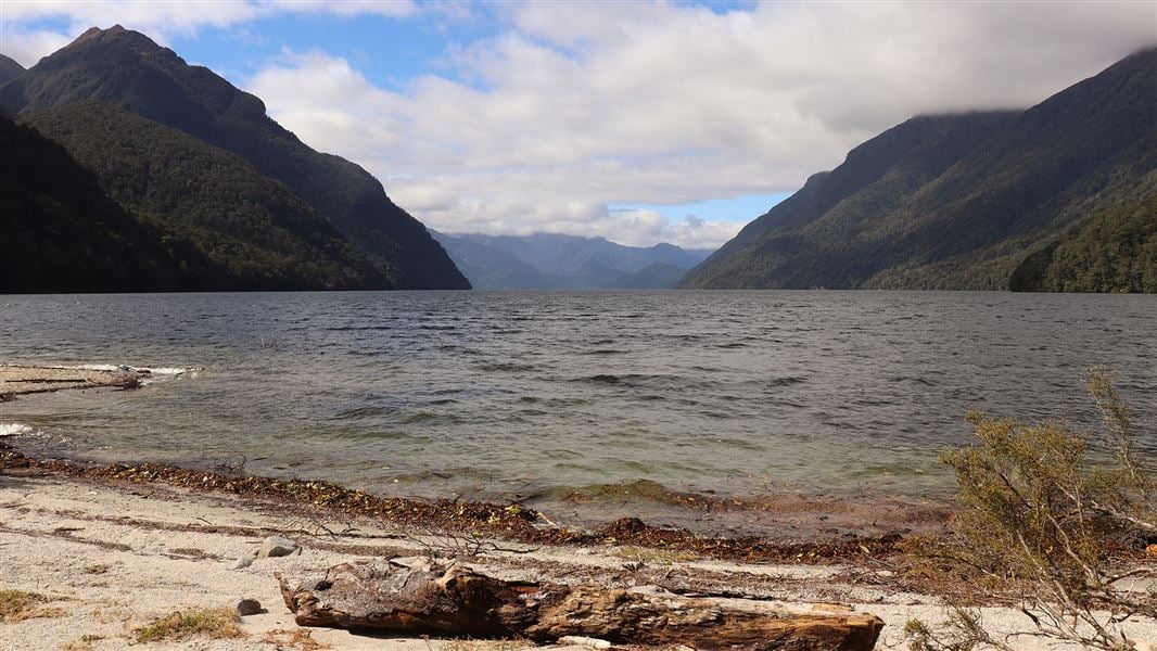South Arm Campsite (Lake Manapouri), campsite in Southland