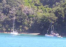 South Arm Campsite, campsite in Marlborough