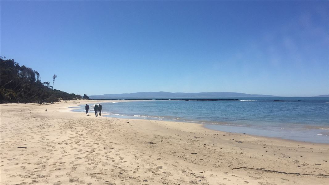 South Coast Track