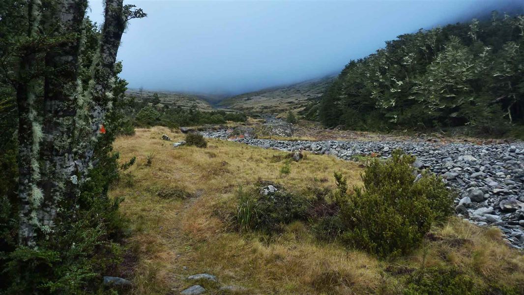 South Temple Track