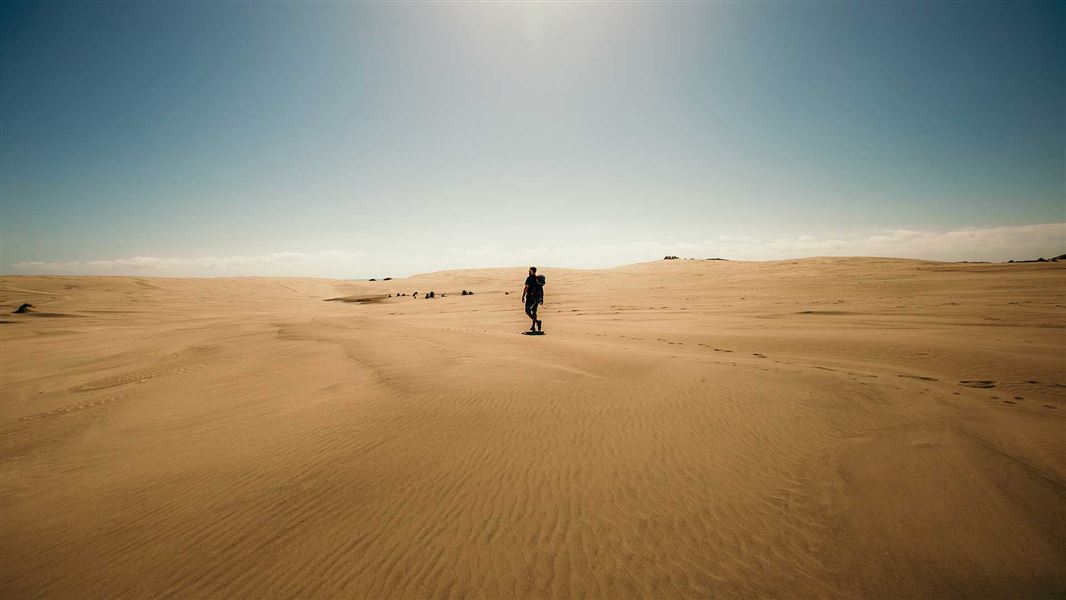 Farewell Spit Walk