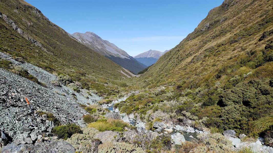 Steele Creek Track