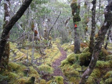 South Borland Track