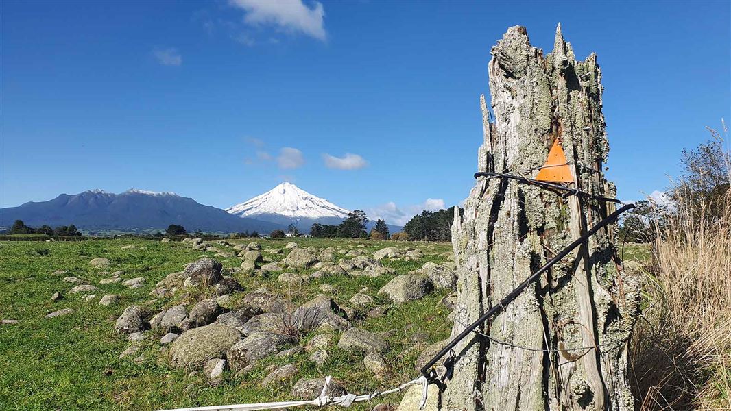 Stony River (Hangatahua) Walkway, walk in Taranaki