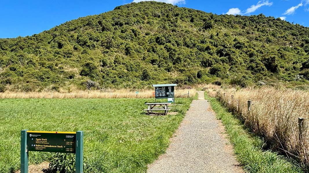 Studholme Bush Scenic Reserve tracks