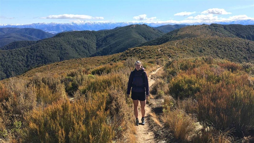Summit Track, walk in Canterbury